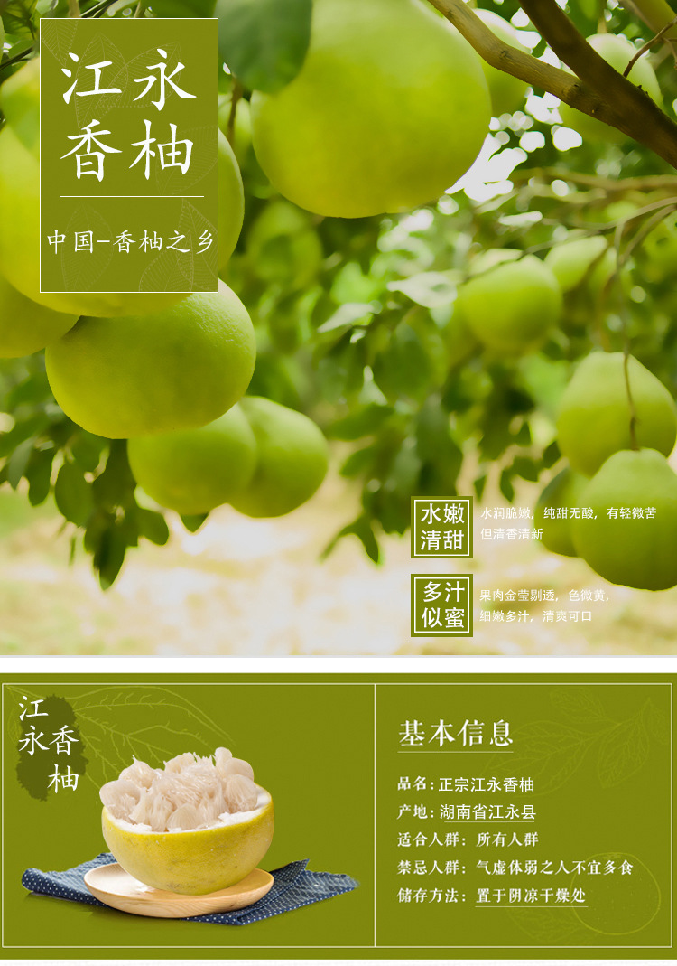 正宗 江永香柚 沙田柚变种土特产 耐存新鲜水果柚子4只10斤礼盒装