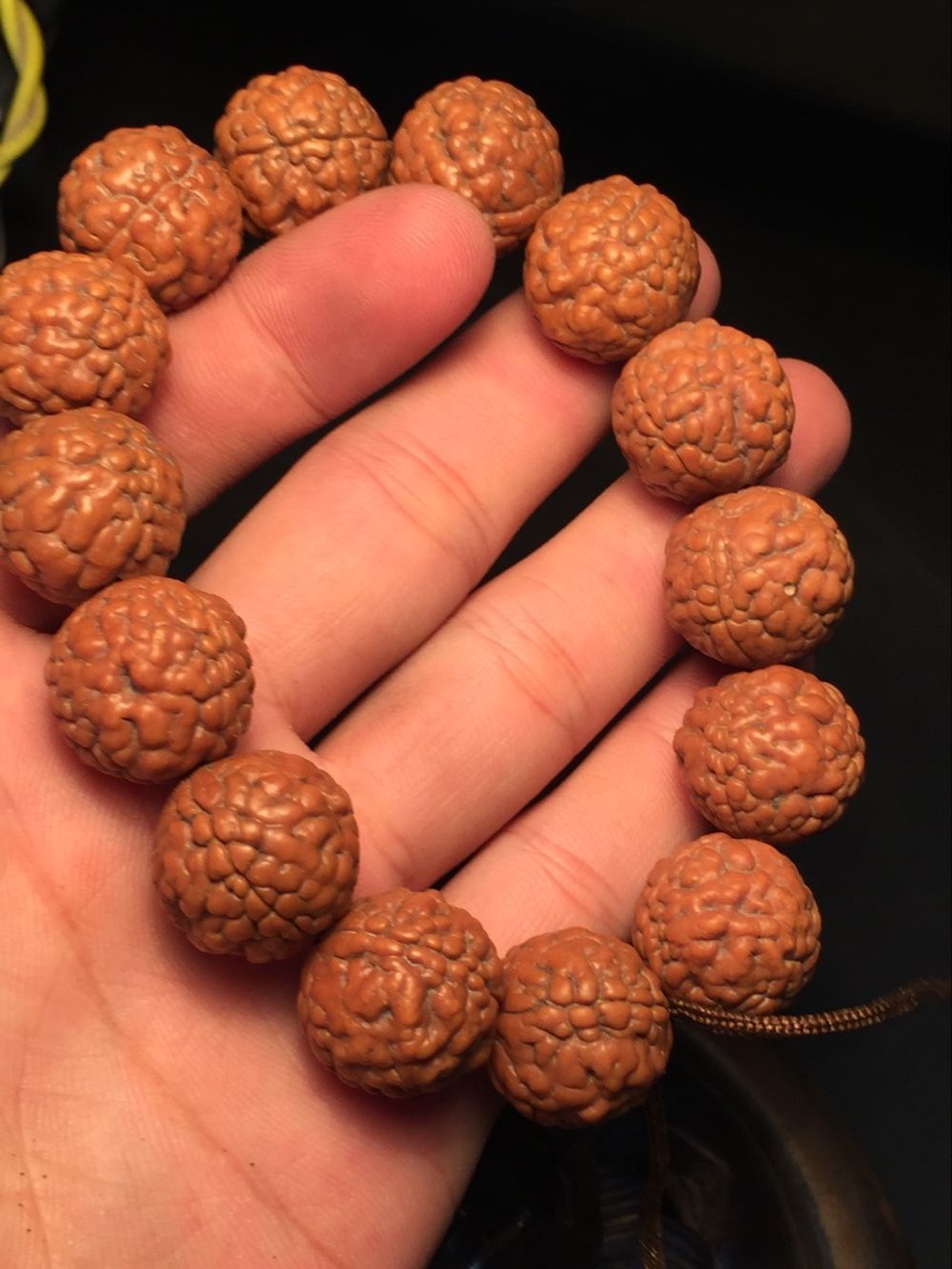 神品三瓣金刚菩提子 红皮爆肉脑纹矮桩龙鳞纹金刚 一件代发招代理