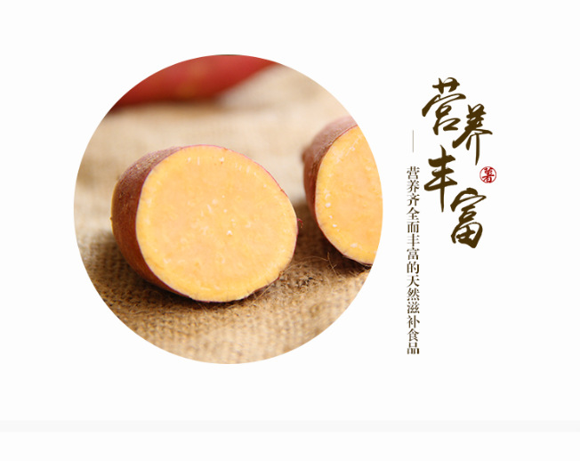 高淀粉红薯商薯19供应地瓜产地供应地瓜地瓜淀粉徐薯18