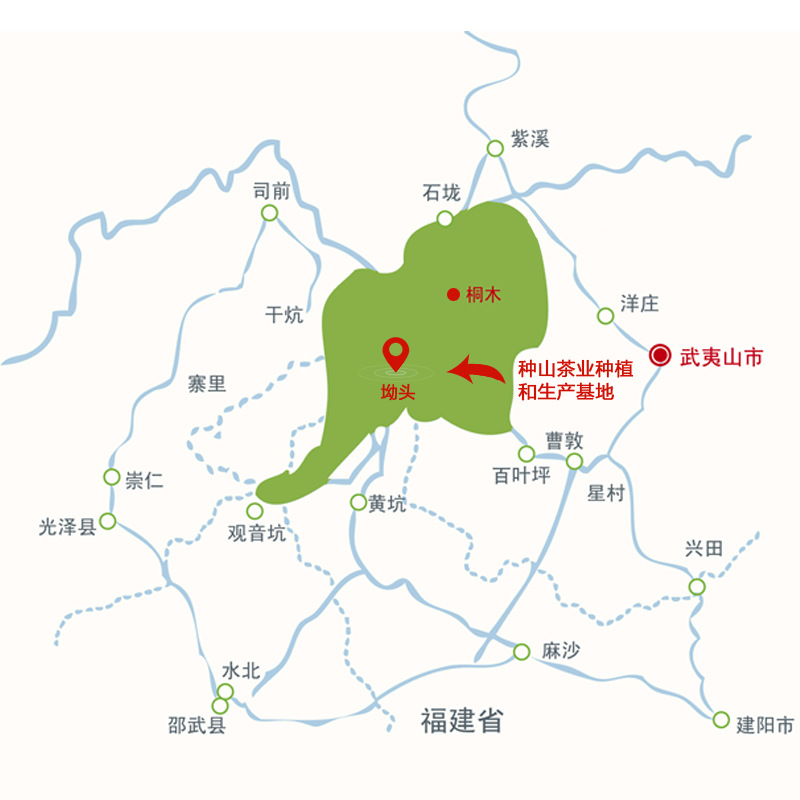 热销款武夷山果香肉桂闽北乌龙岩茶红茶批发香气浓