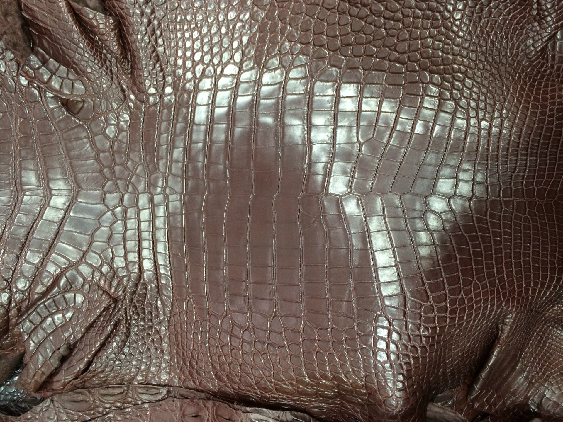 鳄鱼皮 泰国暹罗,尼罗,美洲鳄鱼肚皮,纯水染工艺