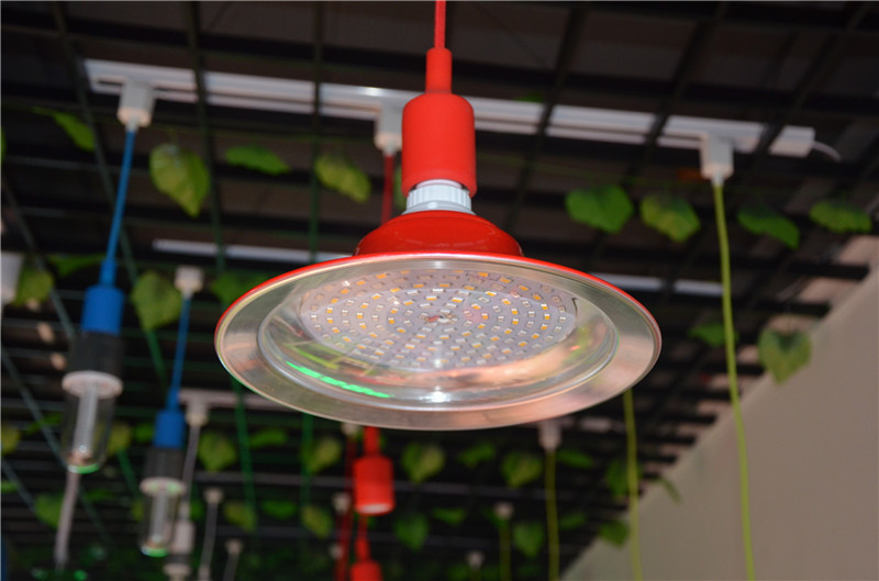 贴片系列生鲜灯 超市照明水果猪肉灯生鲜灯-其他led灯具