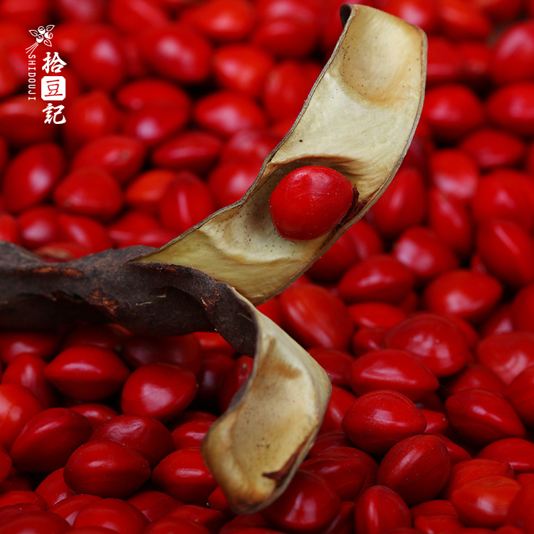 产地一手货源 云南天然相思豆红豆血菩提散珠diy手工饰品配件