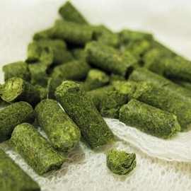 捷克萨兹啤酒花 颗粒 啤酒精酿原料 香酒花 酿造艾尔 拉格帝伯仕