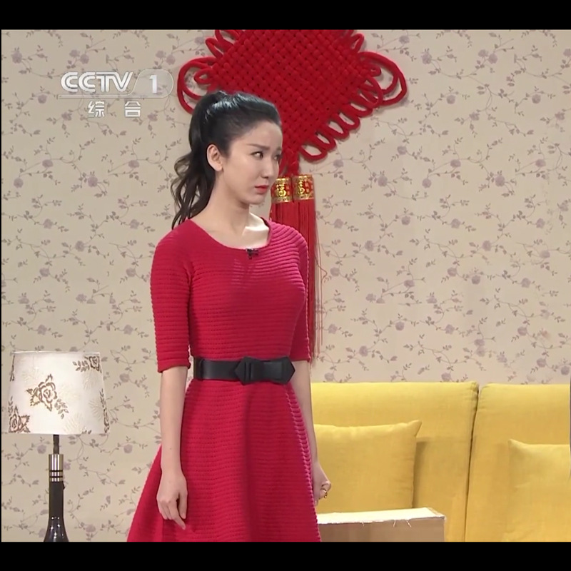 2016年春晚小品快递小乔娄艺潇同款收腰显瘦新款春装连衣裙