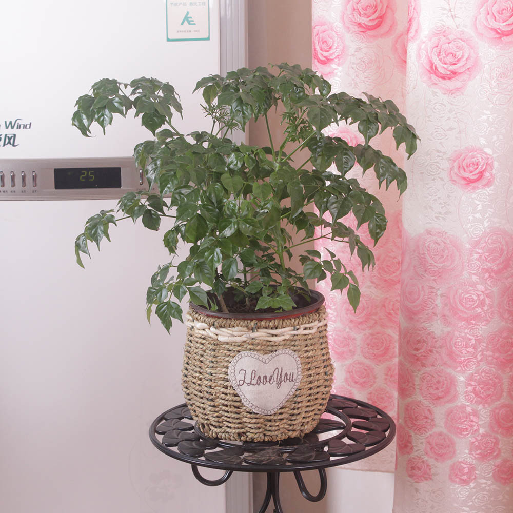 厂家批发手工编织 草绳圆形方形绿萝多肉绿植铁艺花盆 草编收纳筐