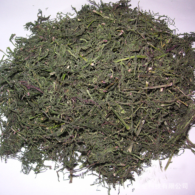 请提前2天左右预订碱蓬俗称盐蒿,海英菜,生长于海边,由海水灌溉生长而