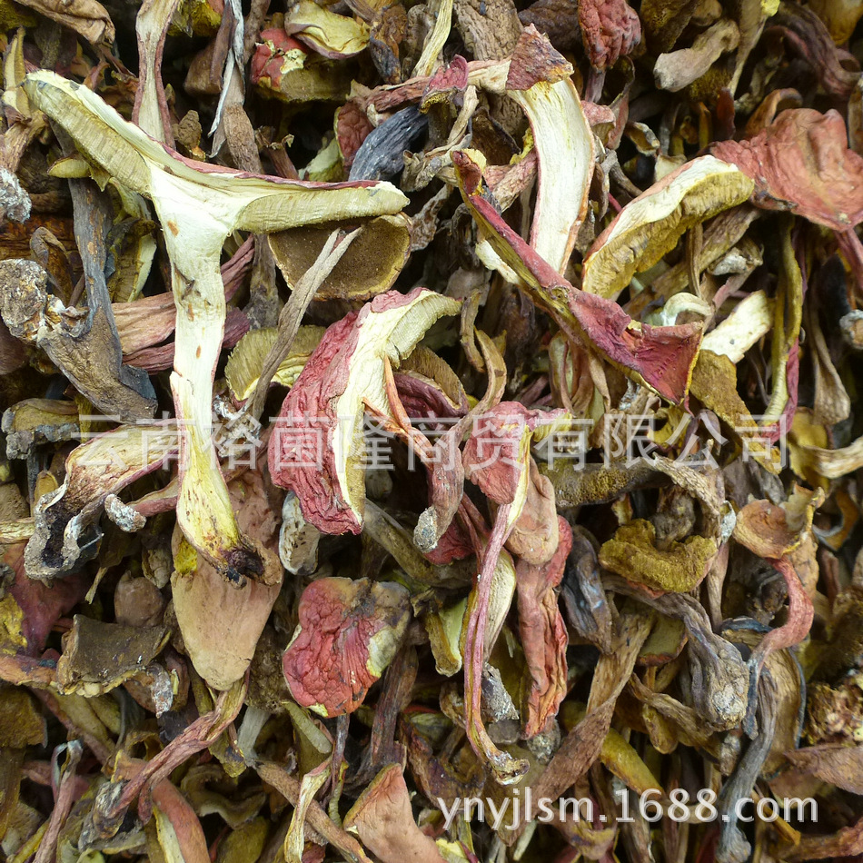 【裕菌隆】 高脚红葱 红葱菌 高脚葱 野生菌批发 酒店熬汤黄牛肝