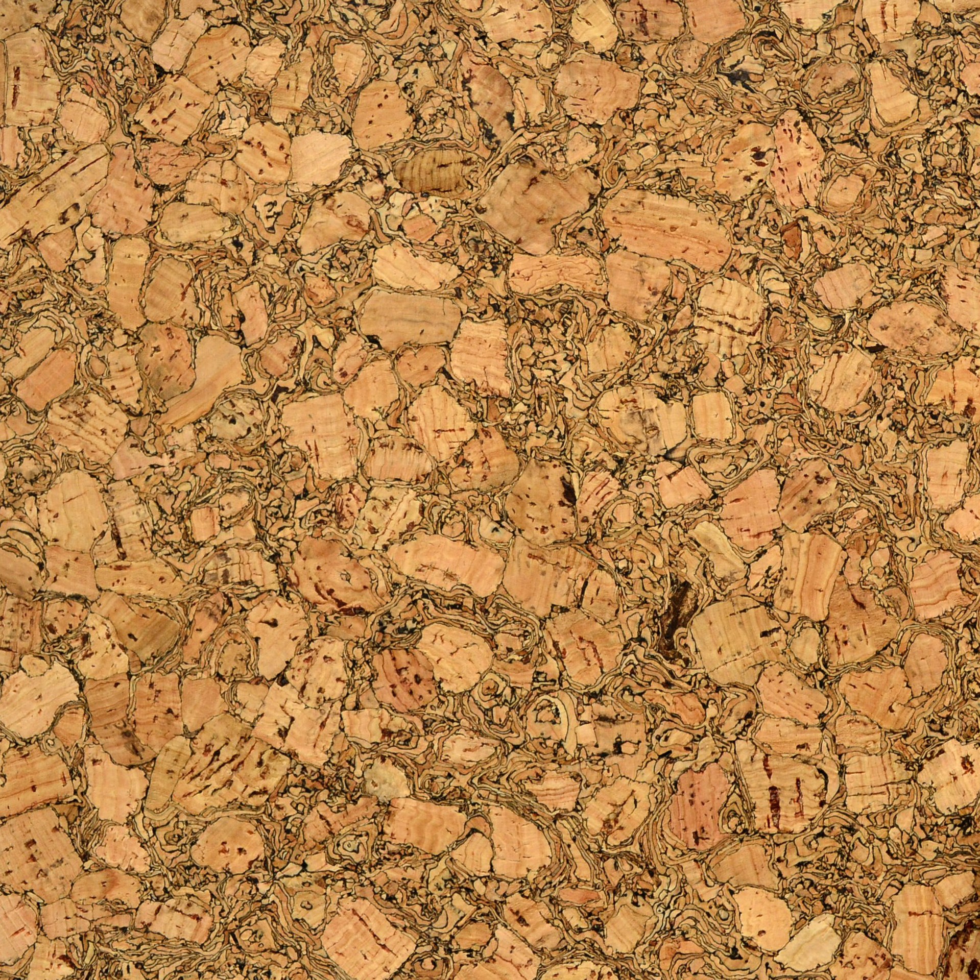 铭亮天然软木橡树皮软木水松木真木皮软木墙纸软木墙板b09