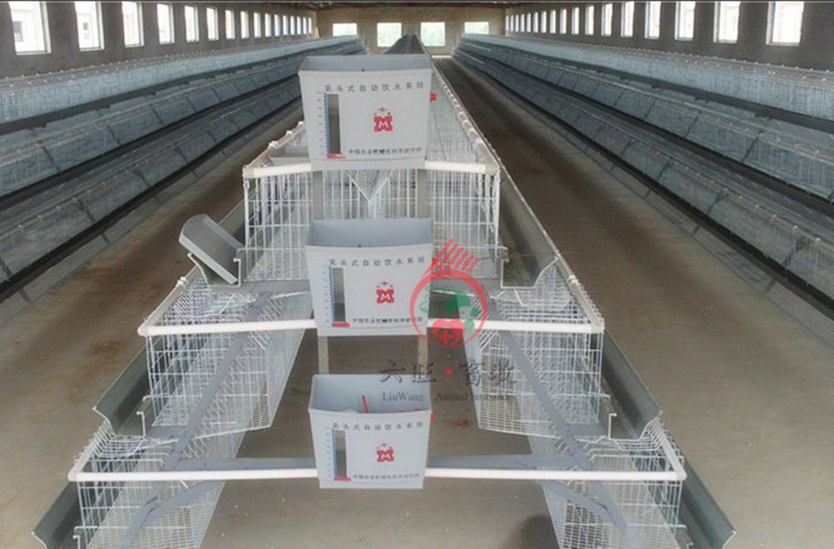 厂家直供鸡用减压水箱 原料乳头式自动饮水系统 养殖用水箱