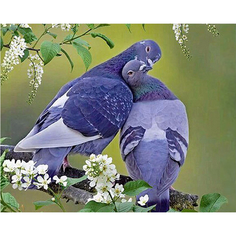 钻石画diy 两只鸽子2.8尖顶圆满钻绣 客厅装饰 新款图片厂家定做