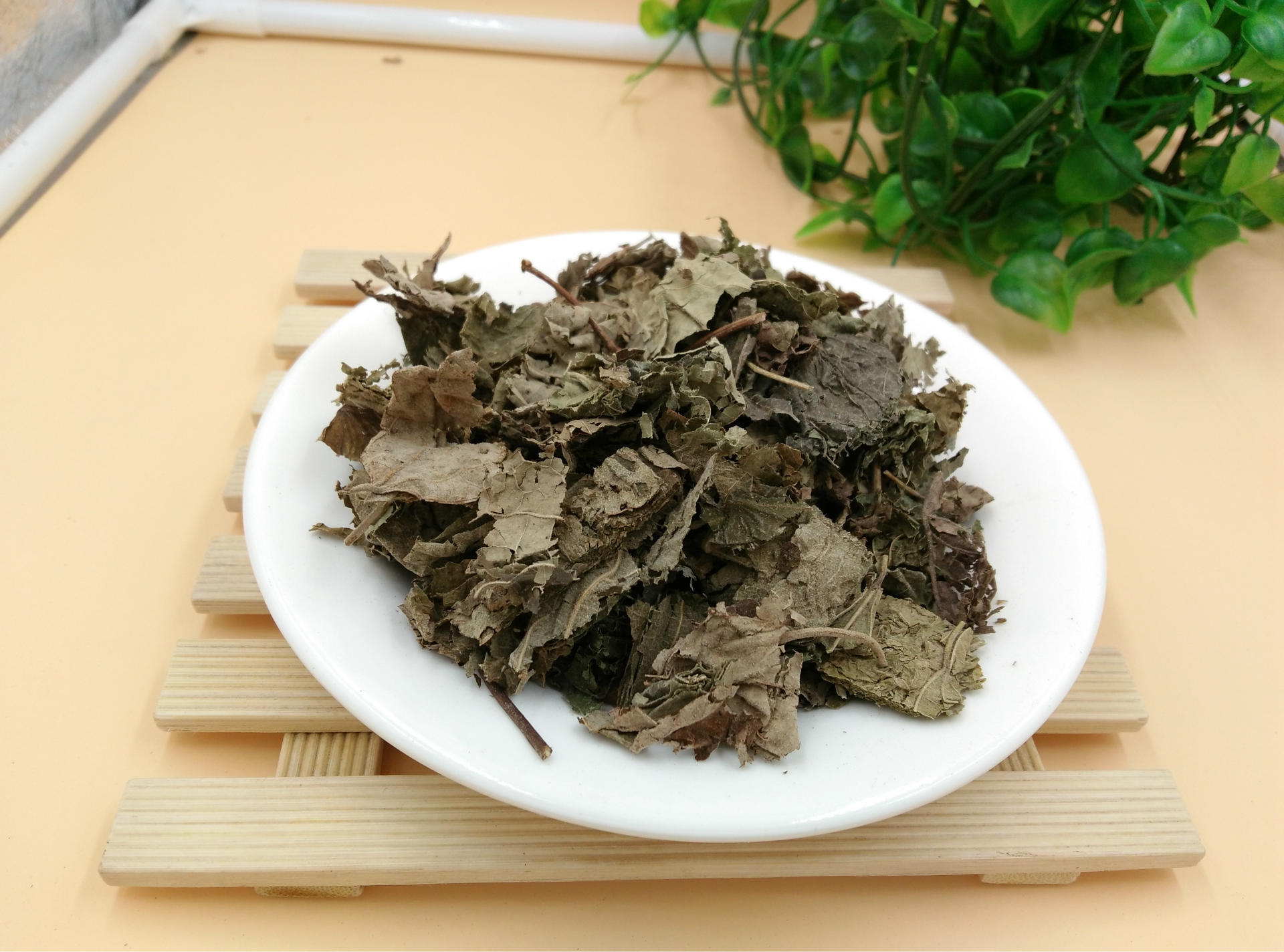 产地货源芙蓉叶 地芙蓉中药材批发