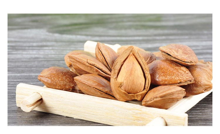 杏核直销 开口杏核 河北特产原味手剥小银杏核 优质原味杏核