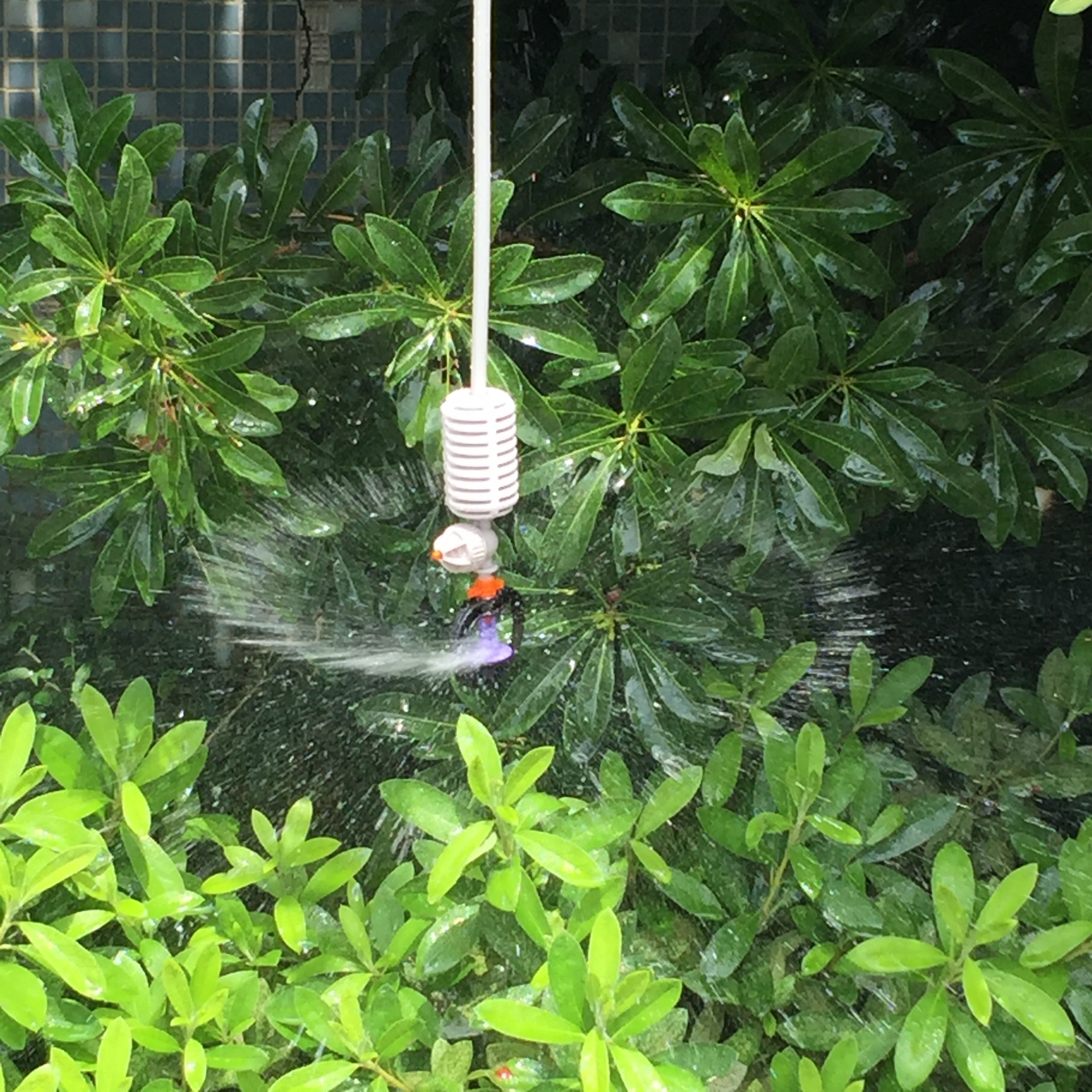 花卉苗圃降温灌溉灯笼型单侧旋转微喷头 折射雾化微喷头 倒挂吊喷