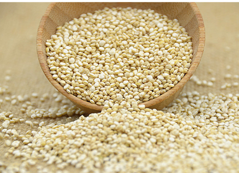 秘鲁进口白藜麦 龙芽米 净重 10kg/件