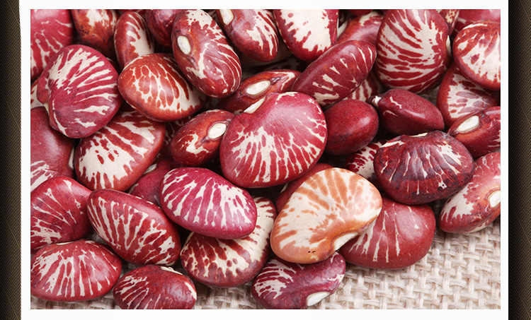 云南斑马豆荷包豆大花芸豆有机大花豆五谷杂粮批发