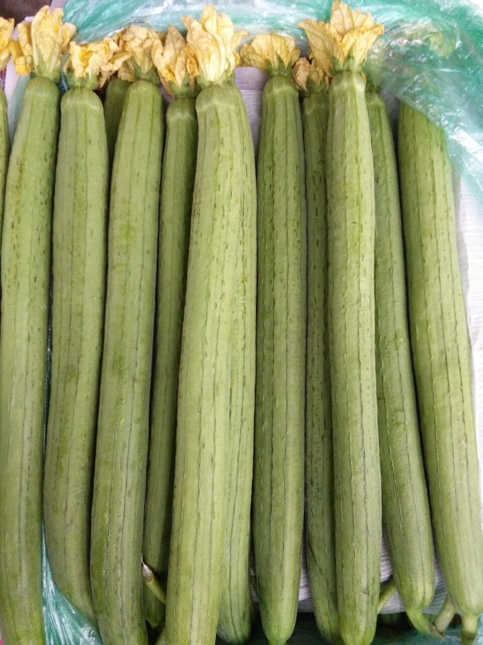 蒜薹供应 农家自种 丝瓜 新鲜蔬菜 无公害 自然成熟 产品简介 成交