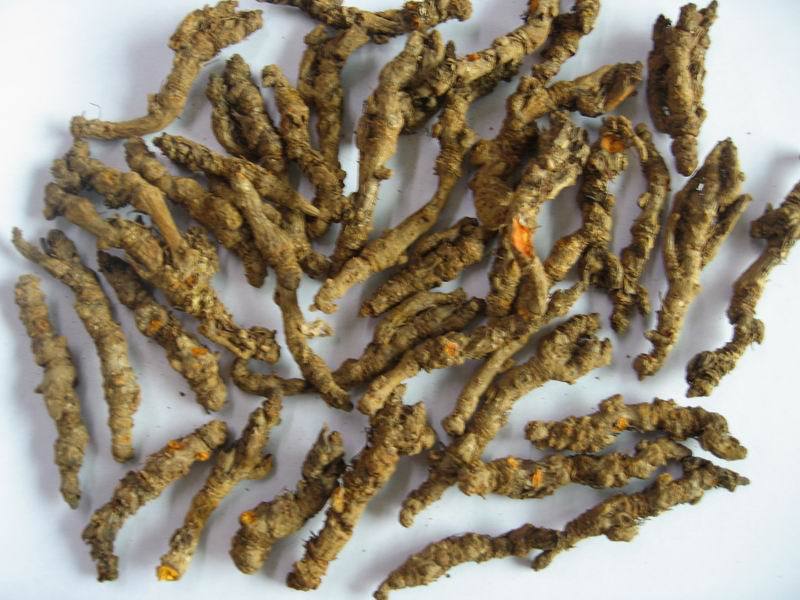 中药材批发 黄连 川连 姜连 川黄连 姜黄连 大货供应