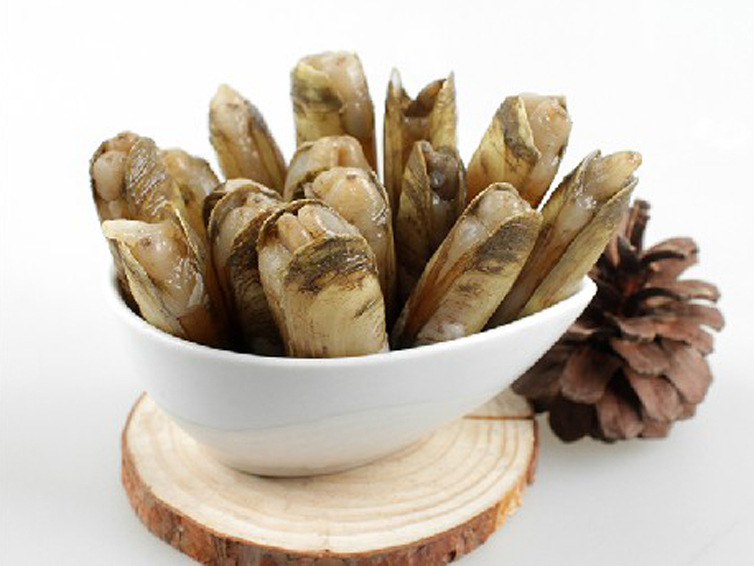 威海鲜活蛏子 鲜活水产蛏 海鲜双头蛏子 海鲜海蚬特价