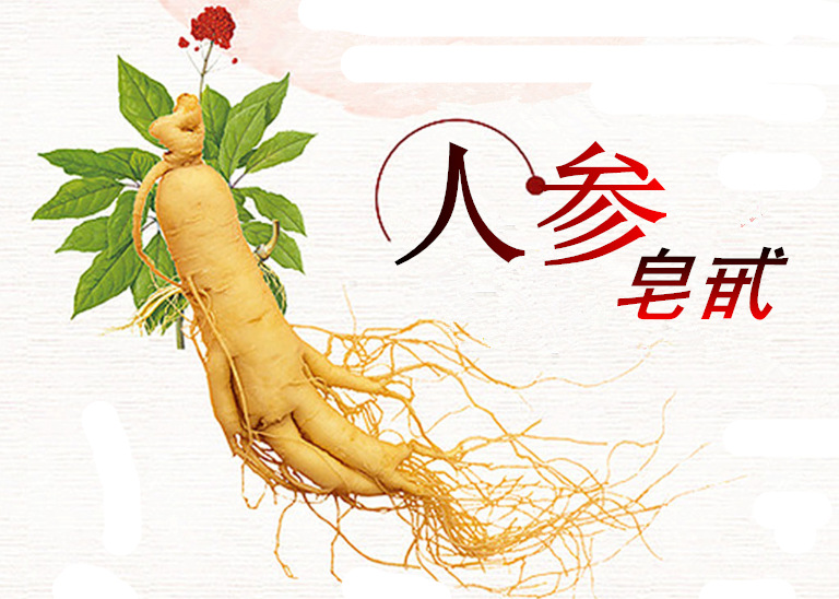 人参皂甙 80% 人参皂苷