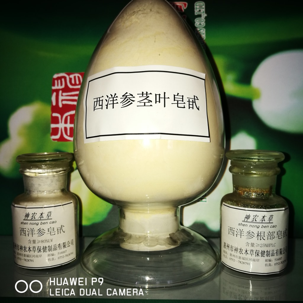 现货供应高品质西洋参皂苷,西洋参皂甙,总皂甙