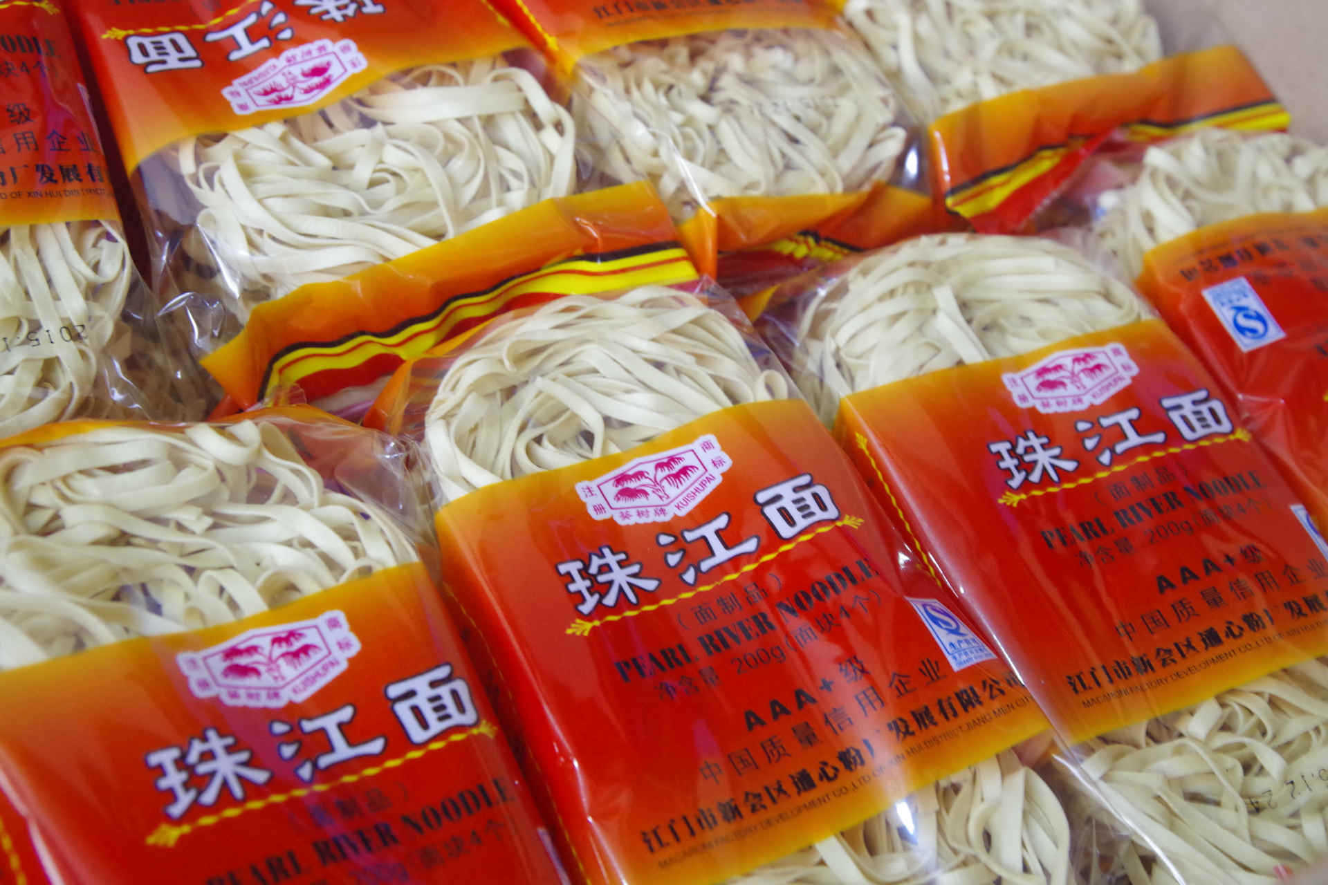 宽面条炒面葵树牌珠江面广东面条火锅面港式捞面拌面厂家直销