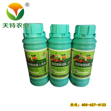 冬枣特效膨大剂_强力膨果增色剂 冬枣专用膨大