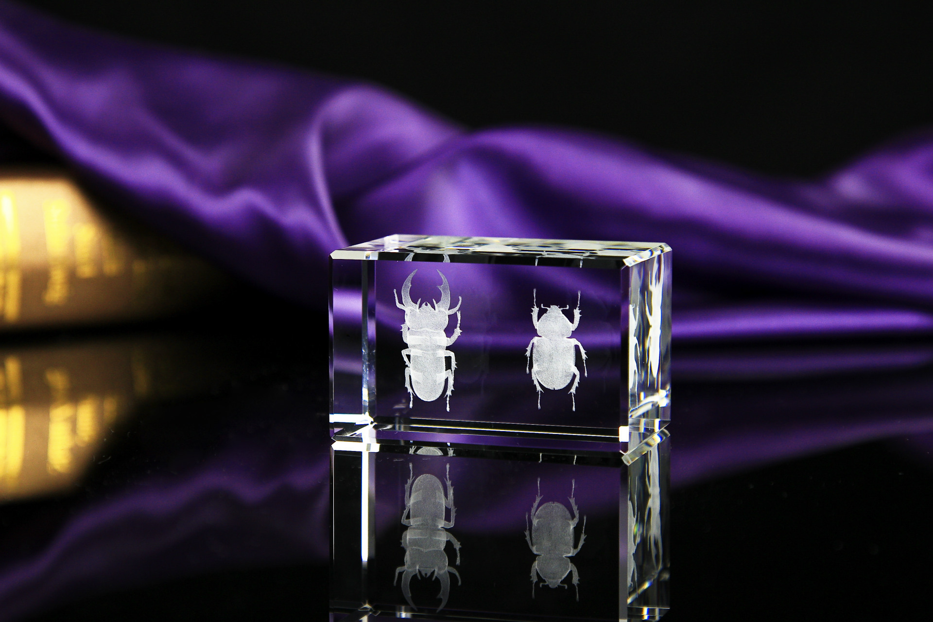 昆虫工艺品 工艺摆件 内雕甲虫立体图 水晶礼品 名称:3d水晶内雕昆虫