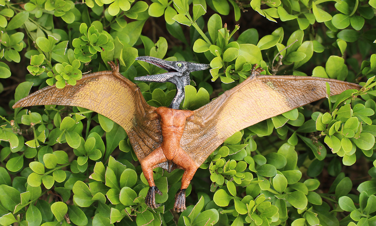 23cm 仿真恐龙模型 实心pvc翼龙 飞龙 飞翼龙翼手龙 静态模型玩具