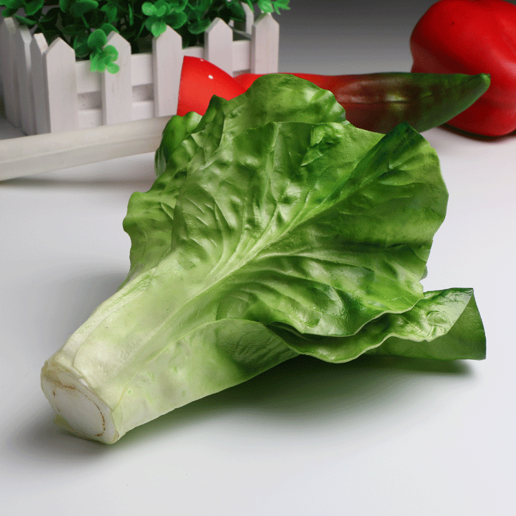 pu手感仿真植物假蔬菜白菜紫生菜批发礼品摆件模型早教拍摄用具