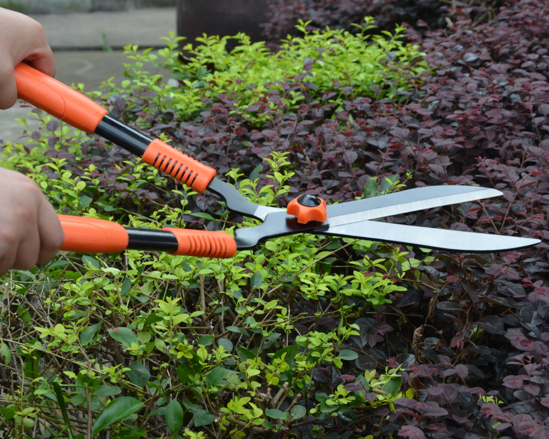 鑫美园林剪刀,修枝剪,篱笆剪!65锰钢高温淬火,刀头非常锋利