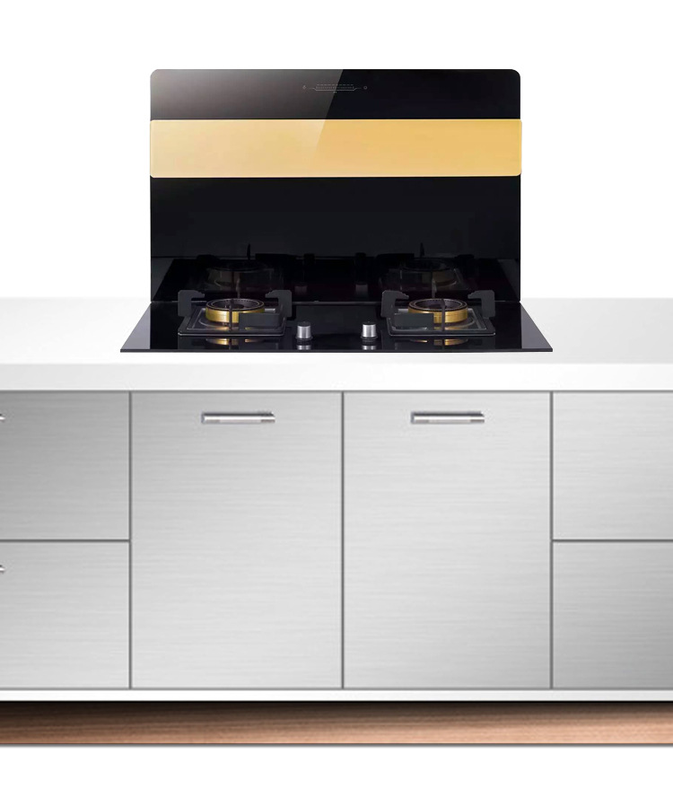 德区容桂东帝斯厨卫电器厂