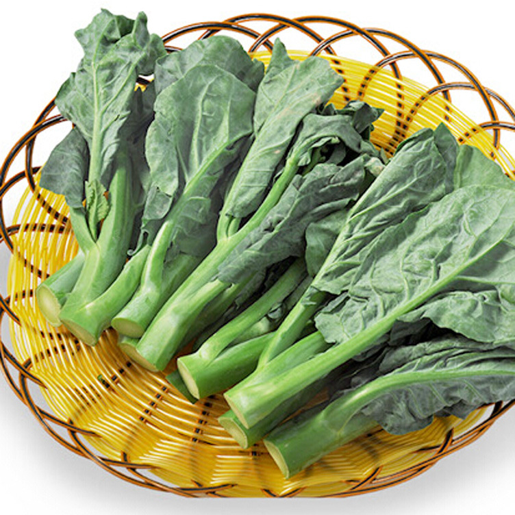 厂家供应 无公害芥兰 白花芥蓝500克 青菜新鲜蔬菜 直销批发