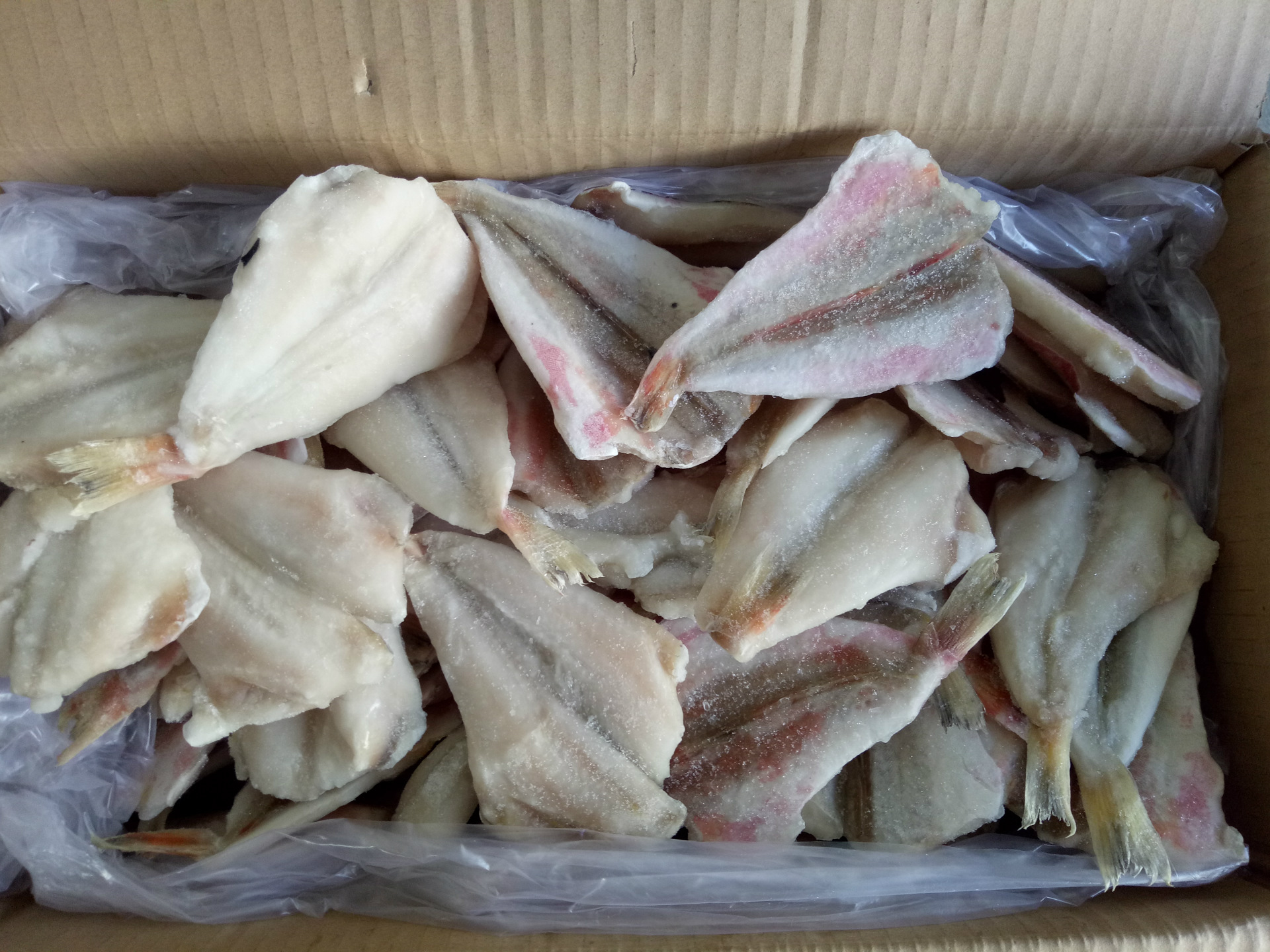 冷冻红娘鱼片红鱼片红娘鱼自助餐厅酒店烧烤专用食材量大从优