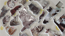 猫咪动物立体海绵贴纸发泡3D泡泡贴厂家生产