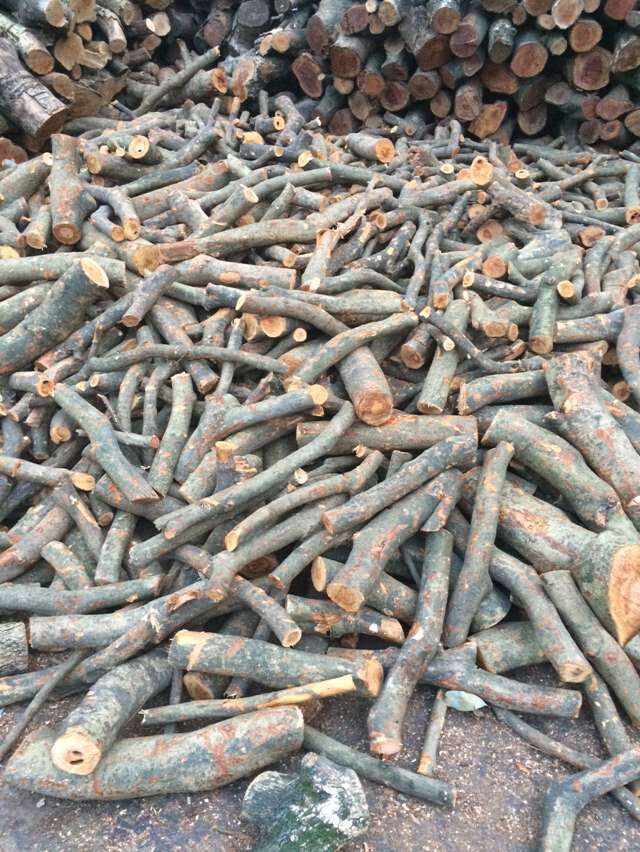 东莞纯荔枝木,烤鸡柴火,户外烧烤易燃荔枝柴,无烟圆木柴火