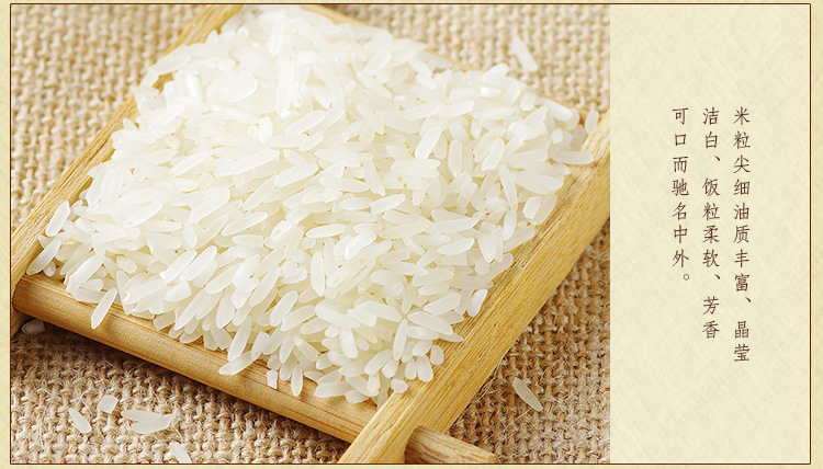 精品上等丝苗软香米厂家米粒细长天然怡香营养丰富大
