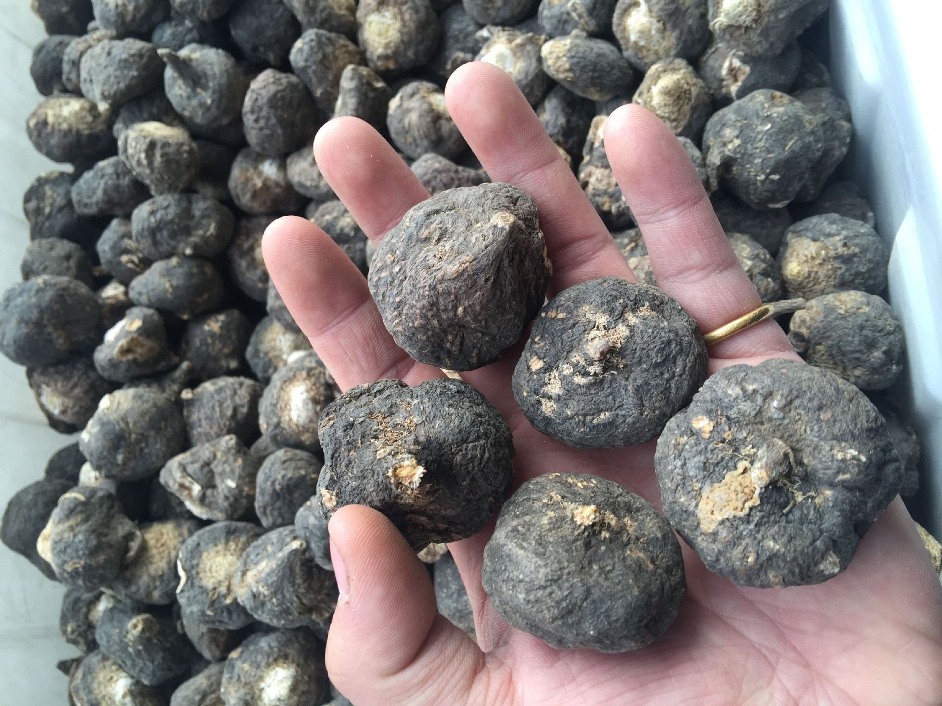 秘鲁黑玛卡一斤价格 包邮