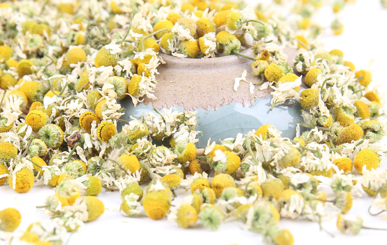 批发洋甘菊散装 洋甘菊茶 洋甘菊干花 洋甘菊花茶 罗马洋甘.