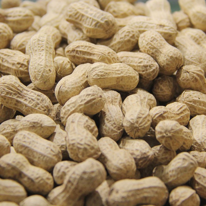 云南独米小花生