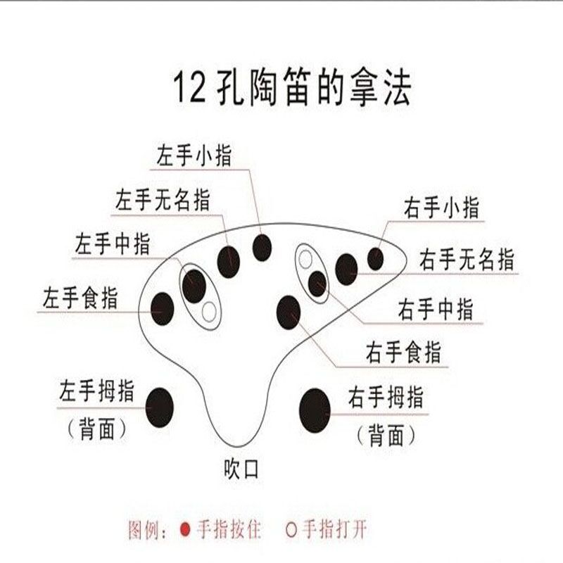 新立ac调陶笛12孔中音c调陶笛初学练习陶笛十二孔陶笛批发
