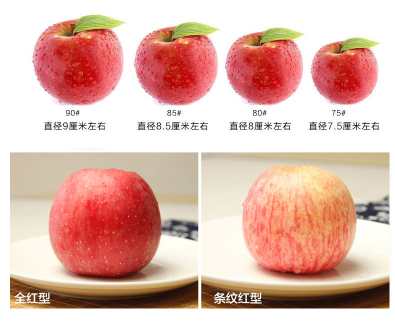 供应 山东烟台红富士苹果80mm二级果农产品批发大量新鲜水.