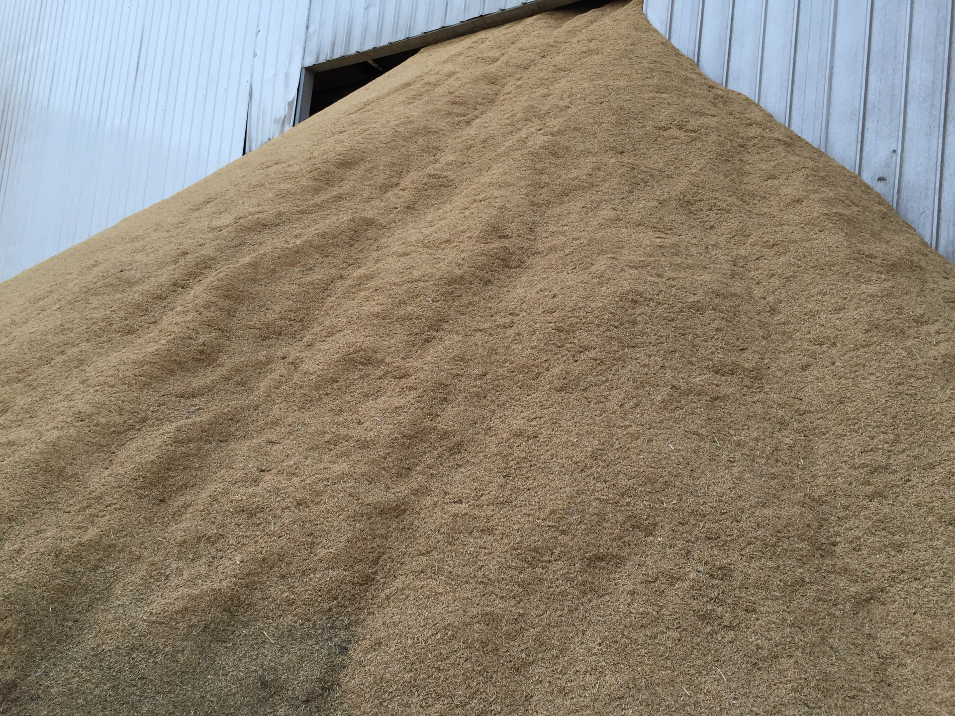 稻壳就是大米的外壳,可以用来发酵,主要用于酒厂,醋厂等,主要用来发酵