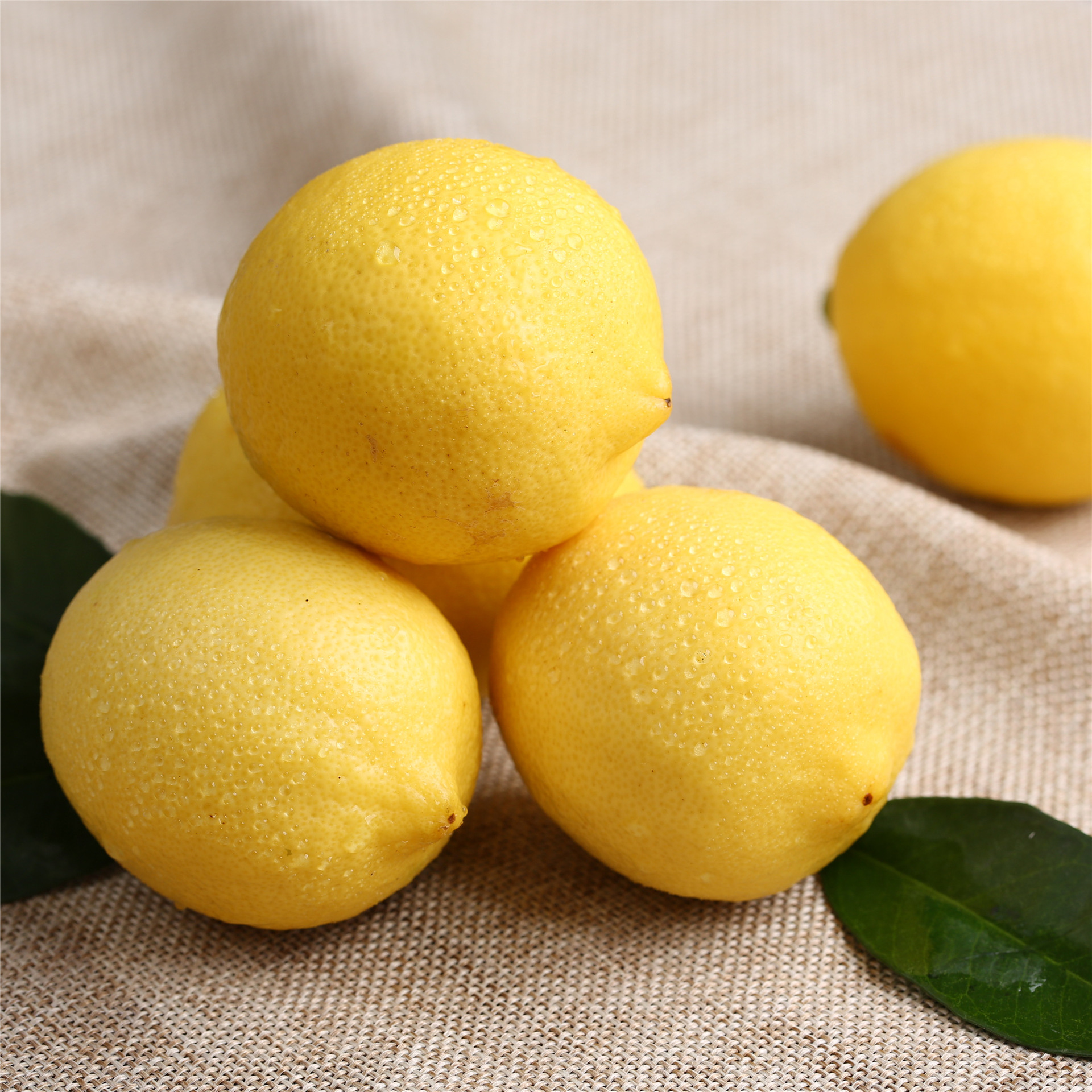 四川水果特产 安岳尤力克黄柠檬 150头 散装 - 食品饮料批发网