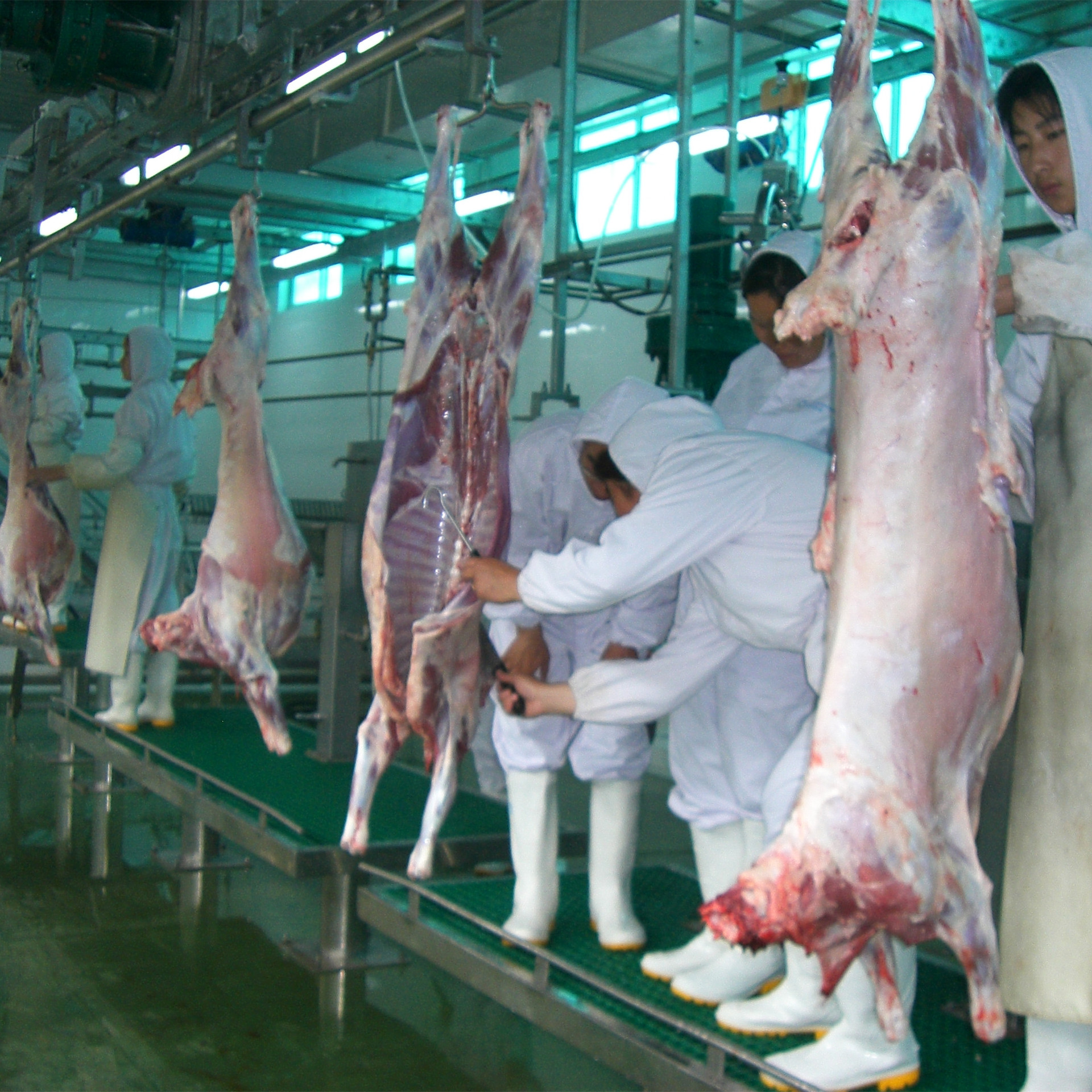 羊放血输送系统|羊预剥输送系统|羊胴体输送系统|羊屠宰设备-农业机械