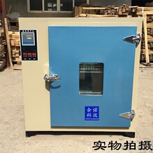 直供101-3汽车大灯改装烤箱 装潢烤灯 试验冷胶烘箱220V 恒温鼓风