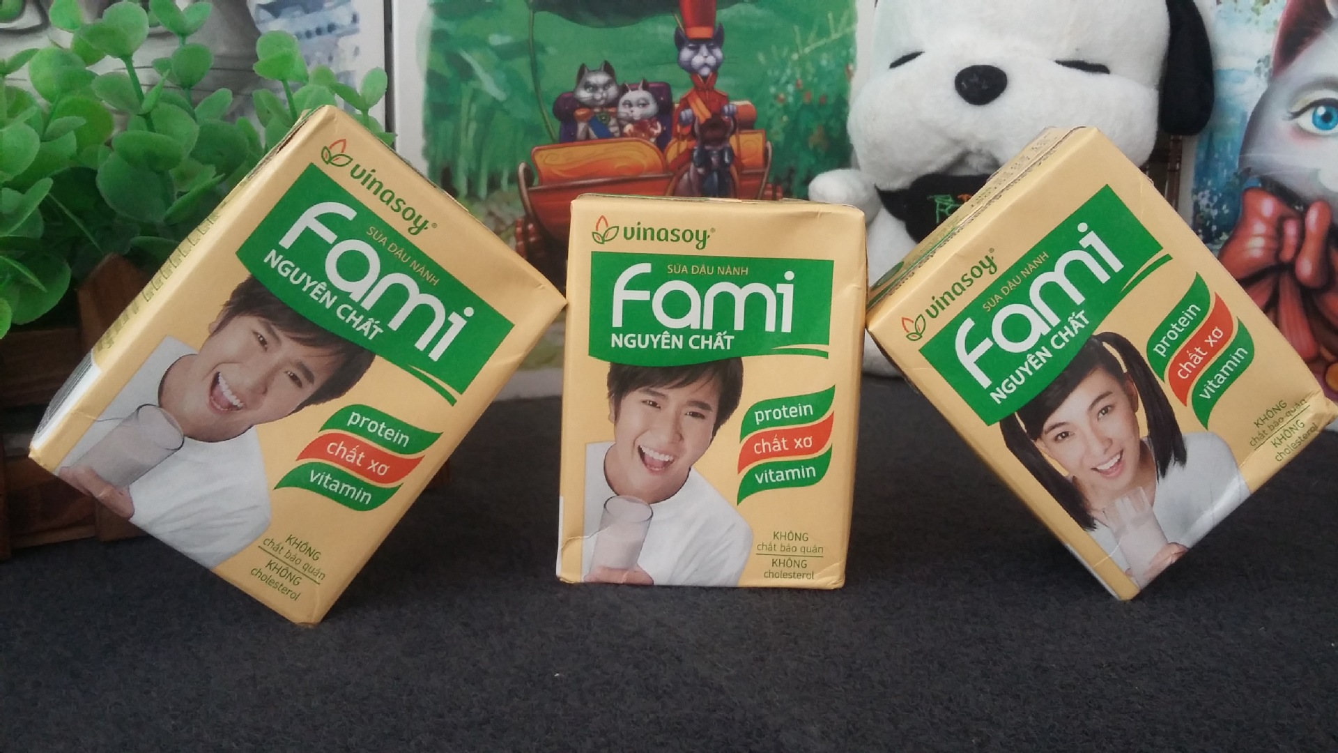 越南vinasoy fami越南豆奶饮料 原装进口 200ml*36盒/箱