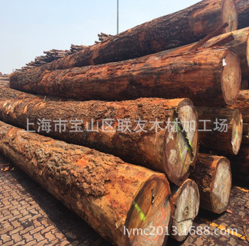 细纹花旗松原木 铁杉云杉原木 园林古建筑寺庙木材 量