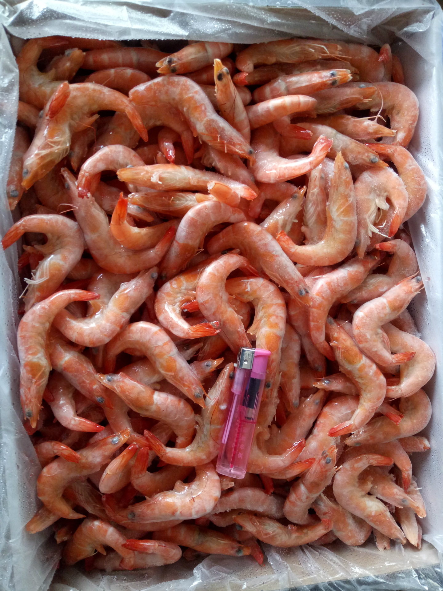 冷冻熟虾干冰红虾带头熟虾自助餐火锅酒店专用食材量大从优