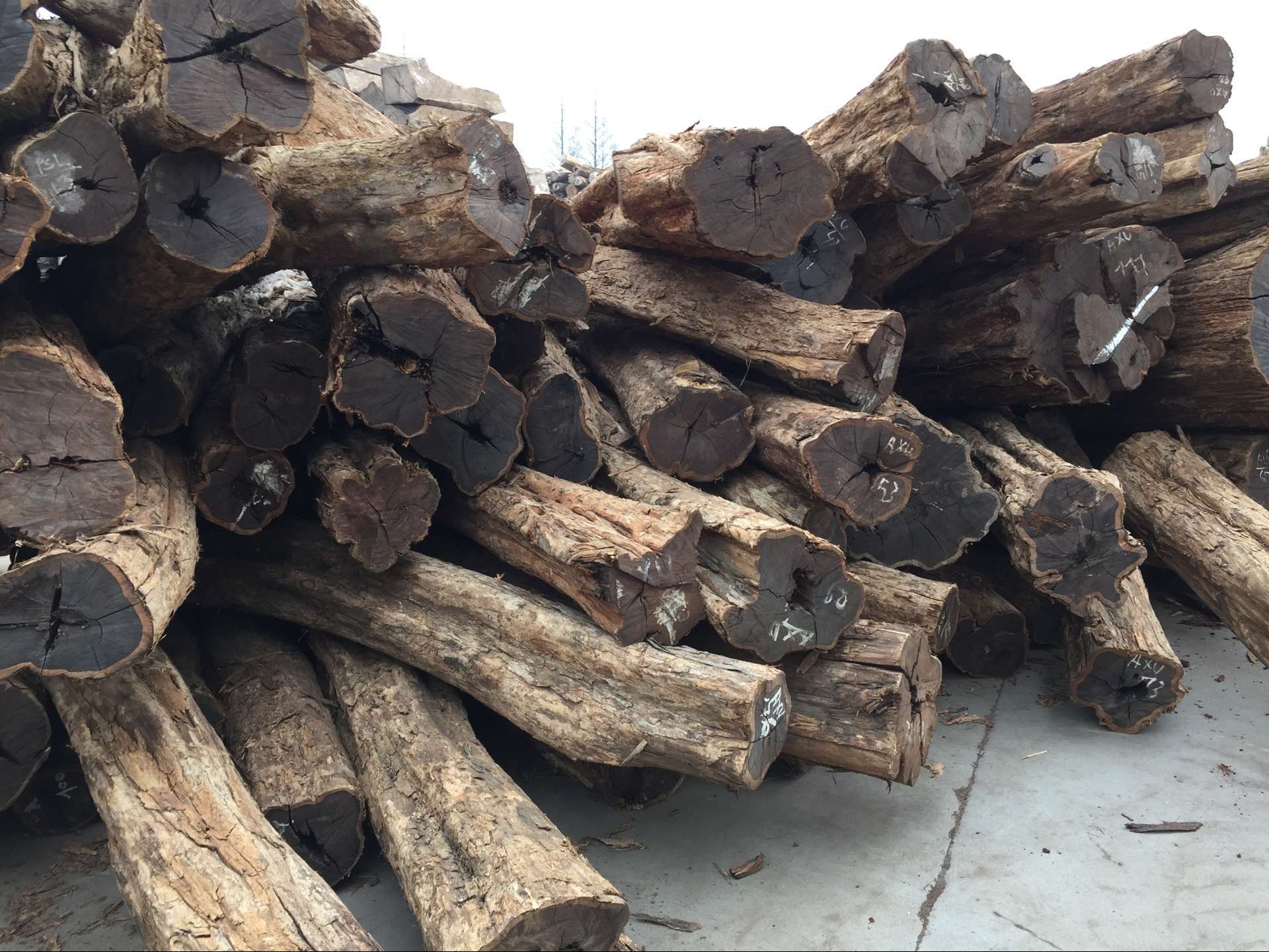 非洲紫光檀 (乌木) 高级家具材